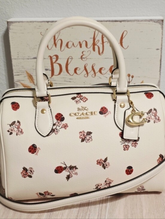 Coach Handbags - Coach RARE Rowan MEDIUM Crossbody Chalk Ladybug Floral + gold Coach C charm 🐞🐞